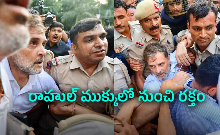 Rahul-Gandhi_3.jpg