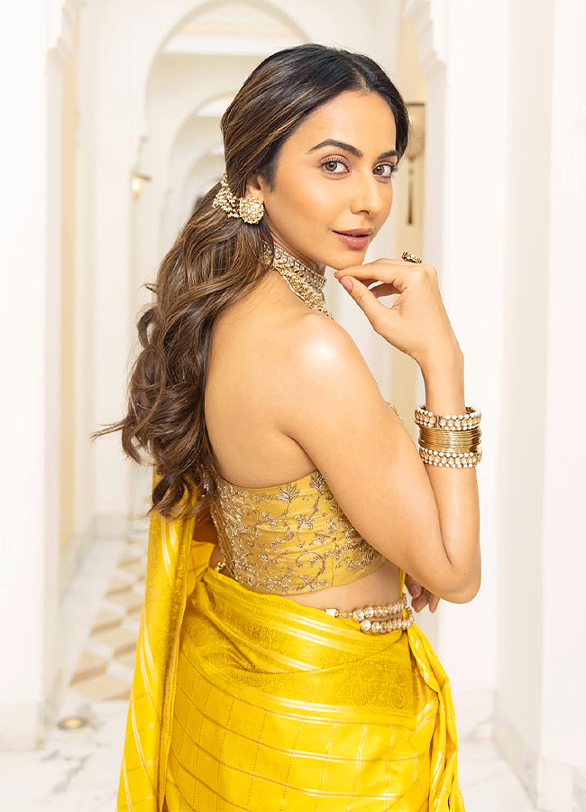 Rakul_20Preet_20Singh_20_2810_29.jpg 10