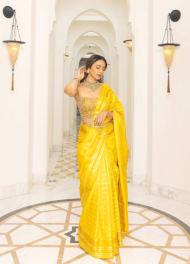 Rakul_20Preet_20Singh_20_2812_29.jpg 12