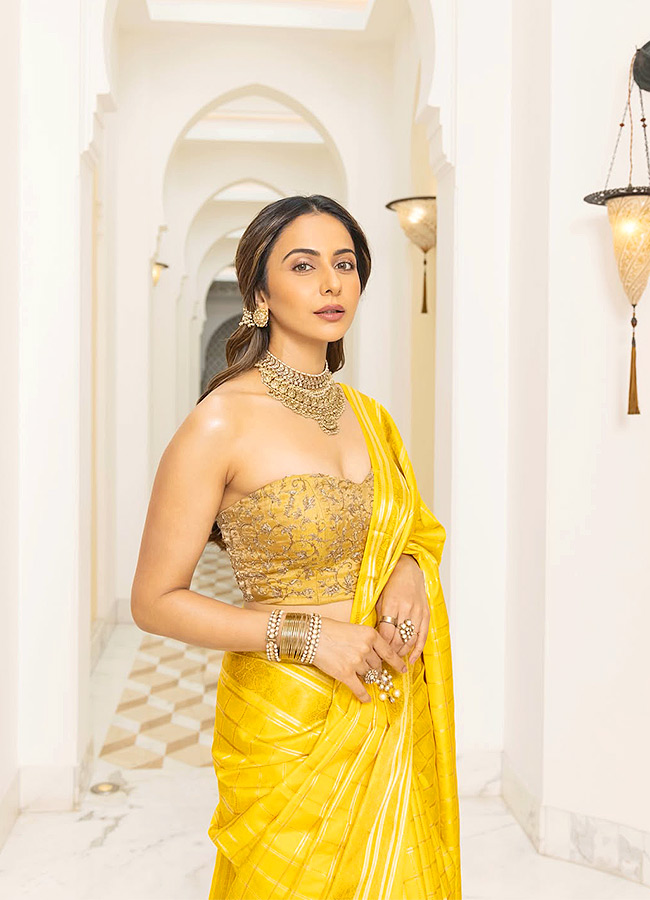 Rakul_20Preet_20Singh_20_2813_29.jpg 13