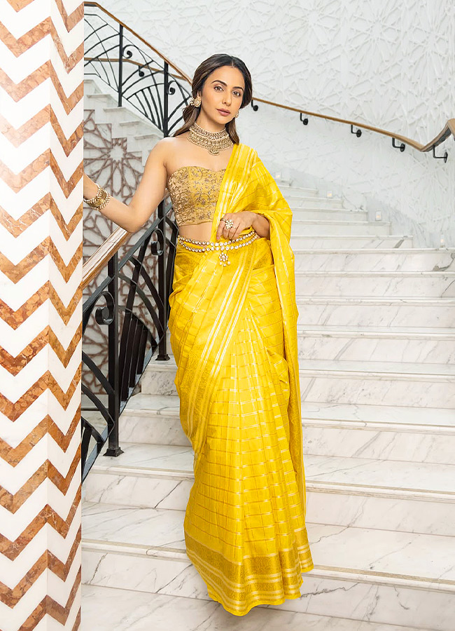 Rakul_20Preet_20Singh_20_285_29.jpg 5