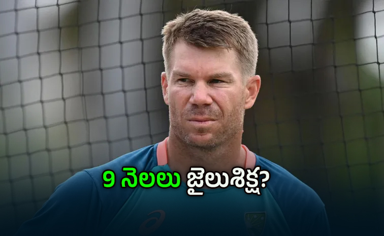 davidwarner.jpg