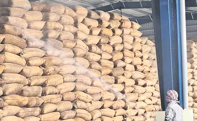 grains.jpg