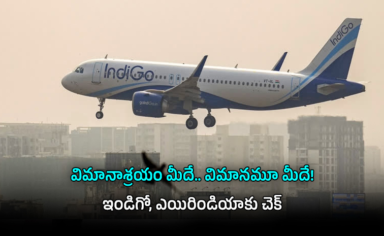 indigo-.jpg
