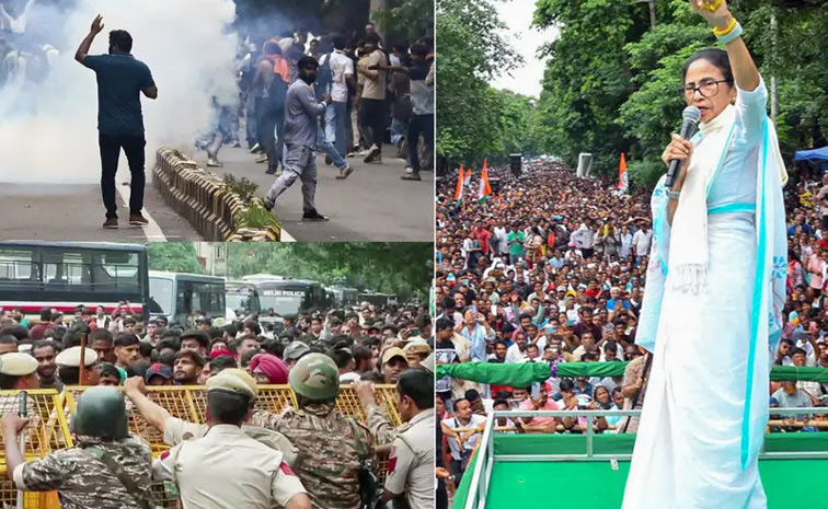 mamata.jpg