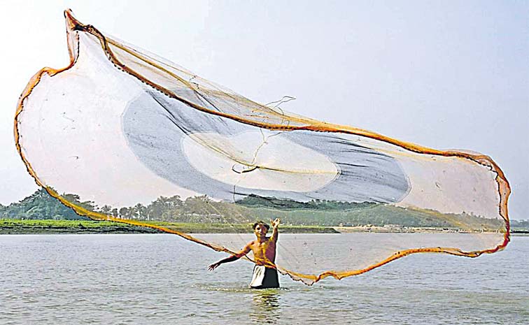 Fisherman.jpg