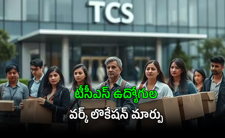 tcs01.jpg