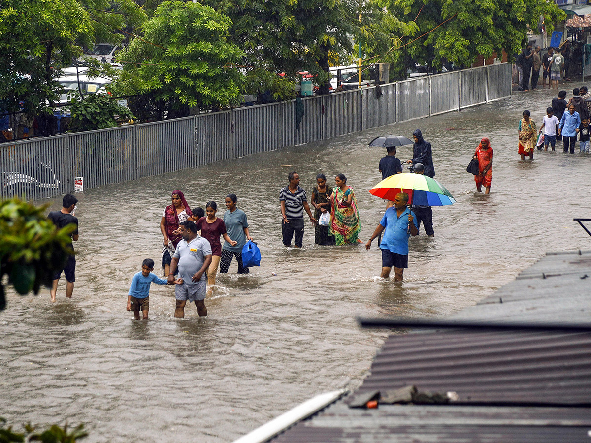 Rain_20havoc_20continues_20in_20South_20Gujarat_20Viral_20Photos__20_2811_29.jpg 11