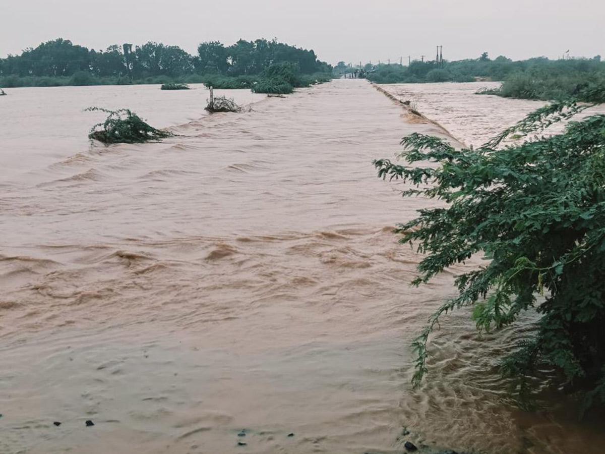 Rain_20havoc_20continues_20in_20South_20Gujarat_20Viral_20Photos__20_285_29.jpg 5