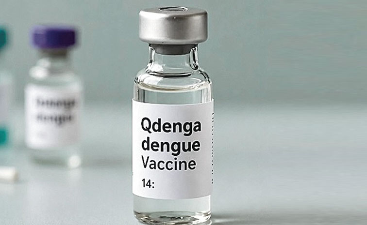 dengue-.jpg