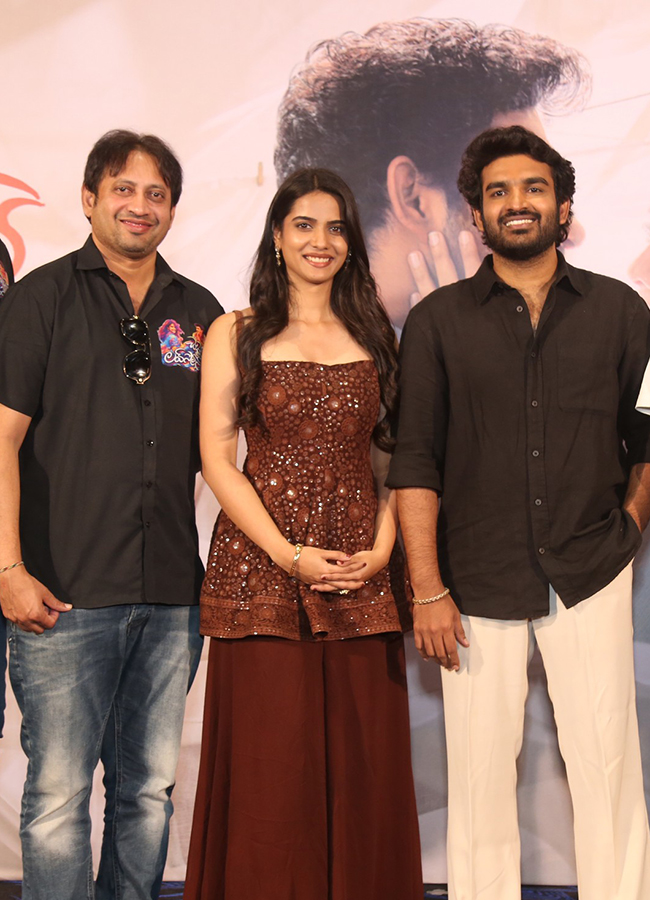 Chennai_20Love_20Story_20Blockbuster_20Success_20Meet_20HD_20Photos__20_2816_29_0.jpg 15