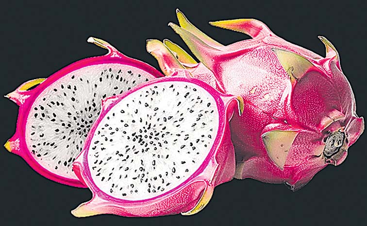 Dragon_20Fruit.jpg