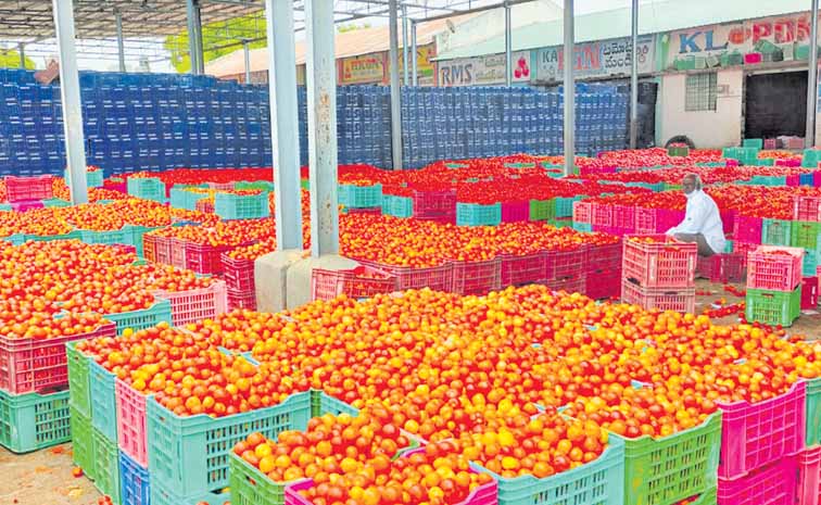 tomato.jpg