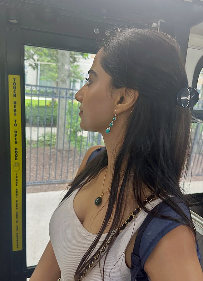 Actress_20Meenakshi_20Chaudhary_20America_20Trip_20Viral_20Photos__20_2812_29.jpg 12