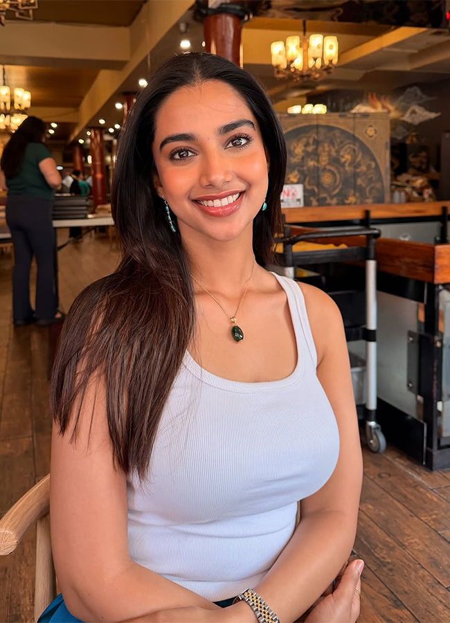 Actress_20Meenakshi_20Chaudhary_20America_20Trip_20Viral_20Photos__20_2815_29.jpg 15