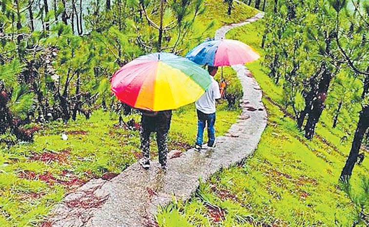 Monsoon_20Trip.jpg