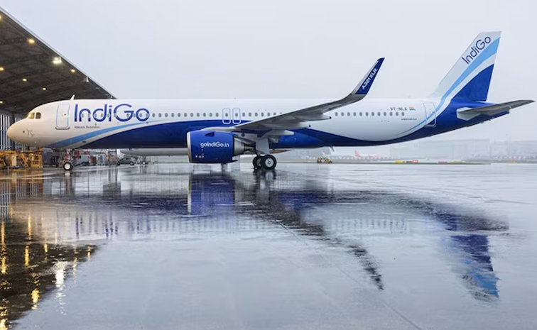 indigo.jpg