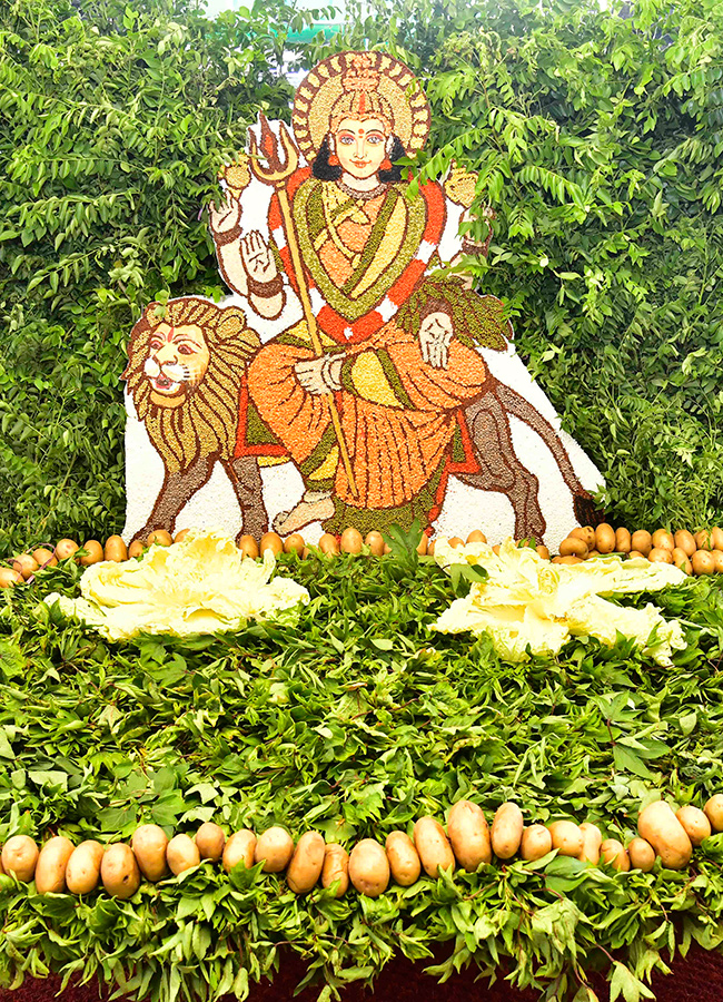 Devotional_20_20Shakambari_20Utsavam_20at_20Indrakeeladri_20in_20Vijayawada__20_2820_29.jpg 20