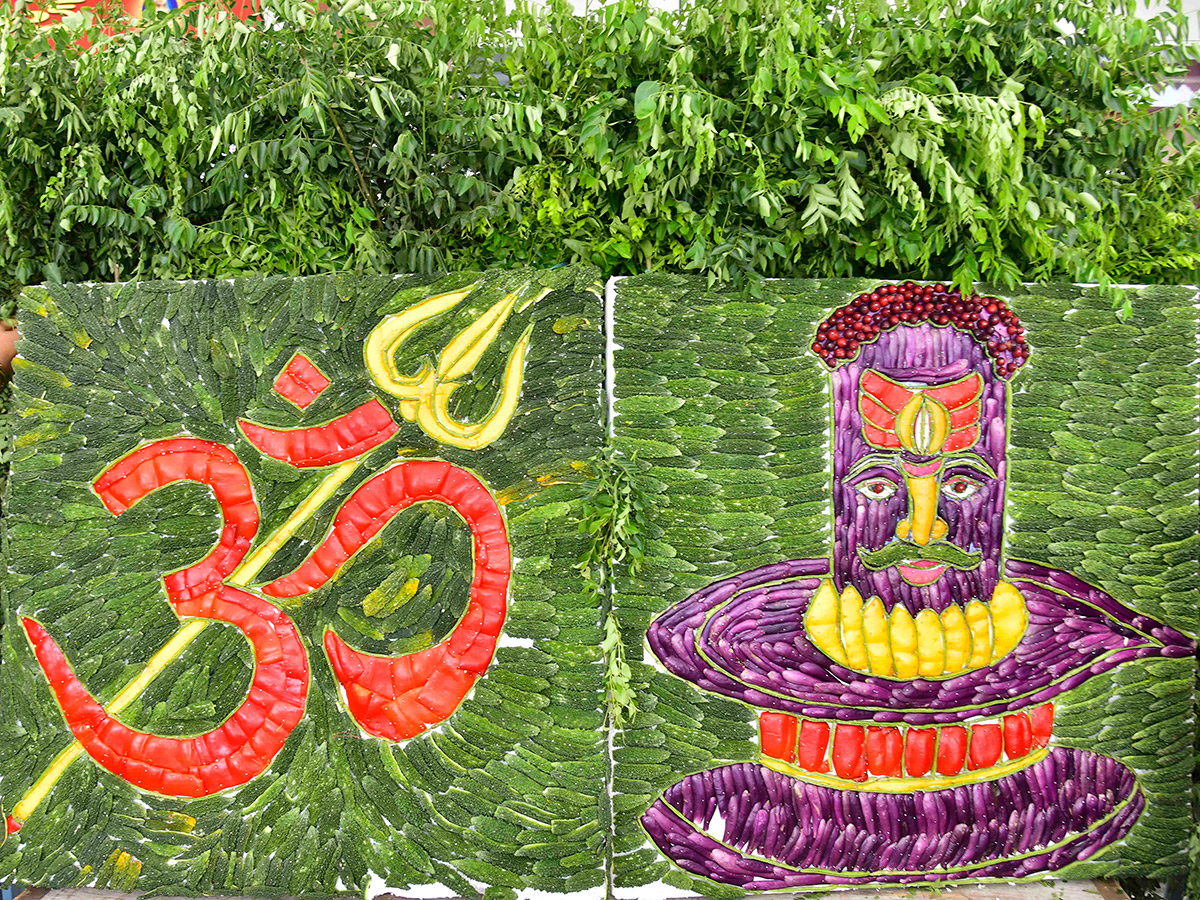 Devotional_20_20Shakambari_20Utsavam_20at_20Indrakeeladri_20in_20Vijayawada__20_2823_29.jpg 23