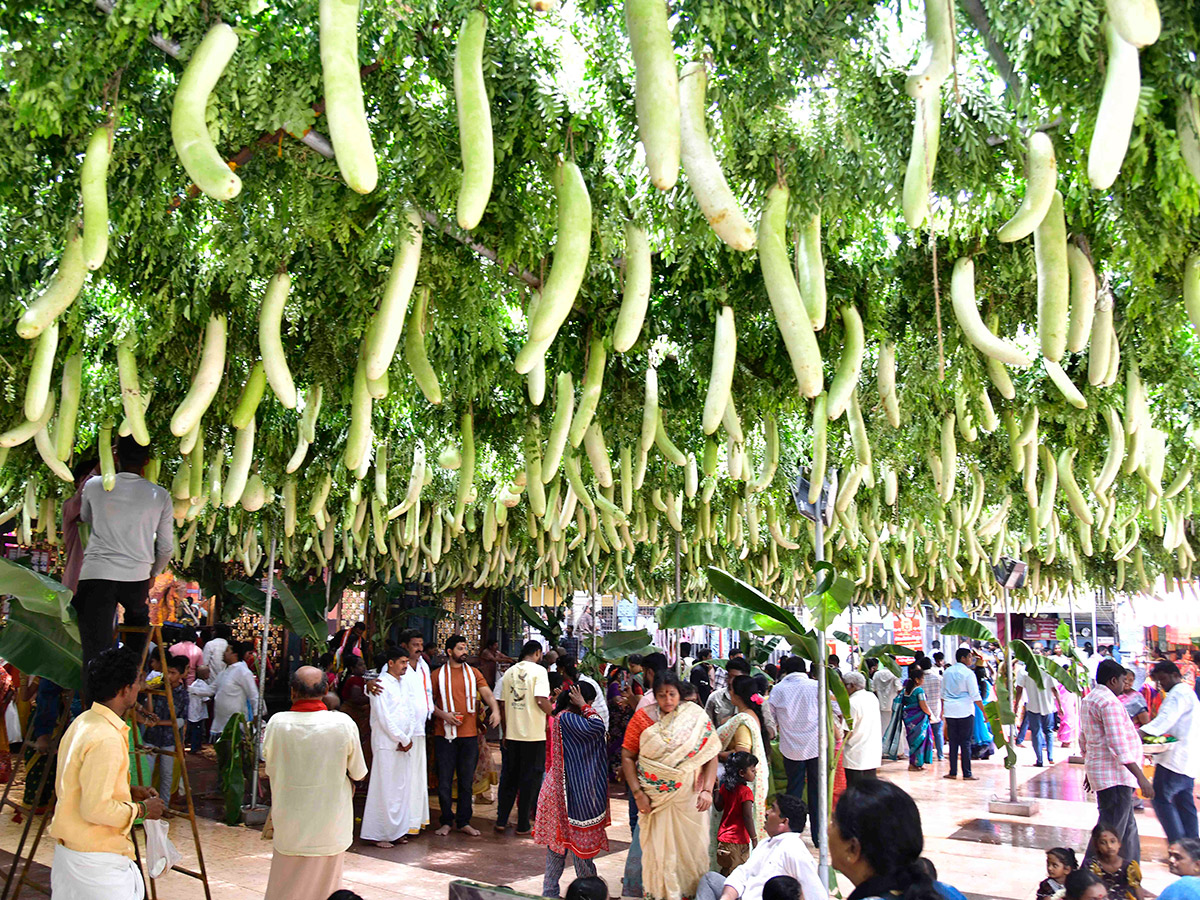 Devotional_20_20Shakambari_20Utsavam_20at_20Indrakeeladri_20in_20Vijayawada__20_2825_29.jpg 25
