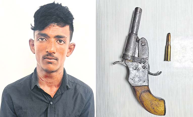 Pistol.jpg