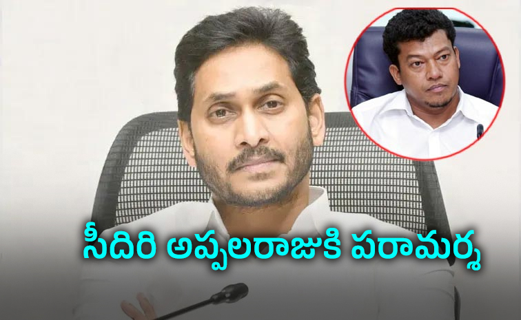 YS-Jagan-Srikakulam-Tour.jpg