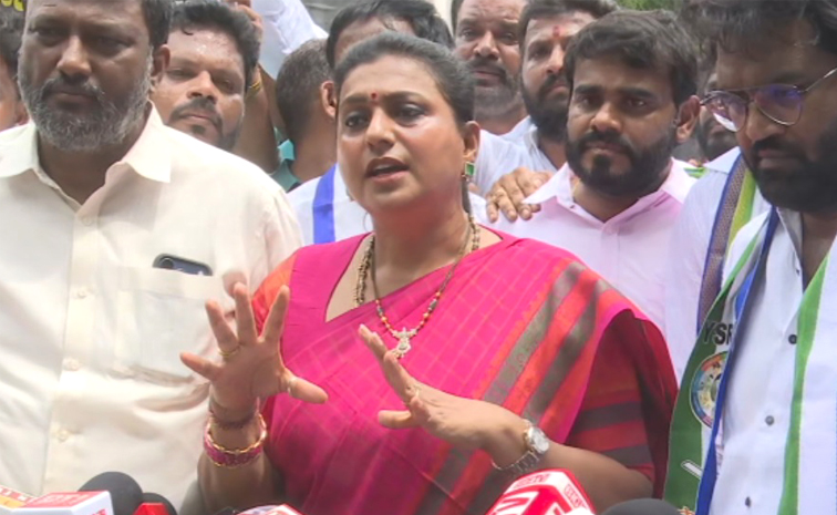 Ysrcp-Rk-Roja.jpg