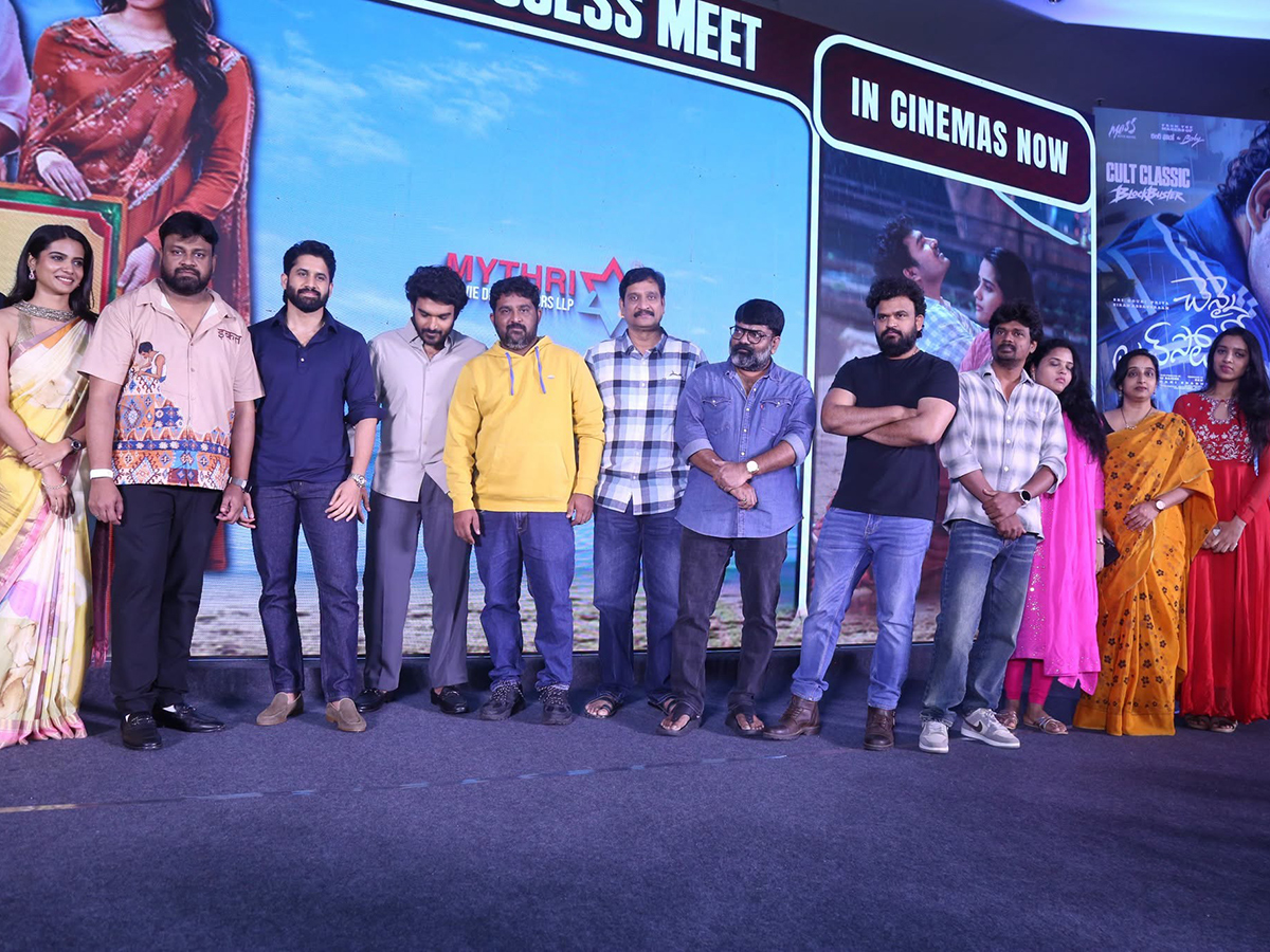 Chennai_20Love_20Story_20Grand_20Success_20Meet_20HD_20Photos__20_2815_29.jpg 15