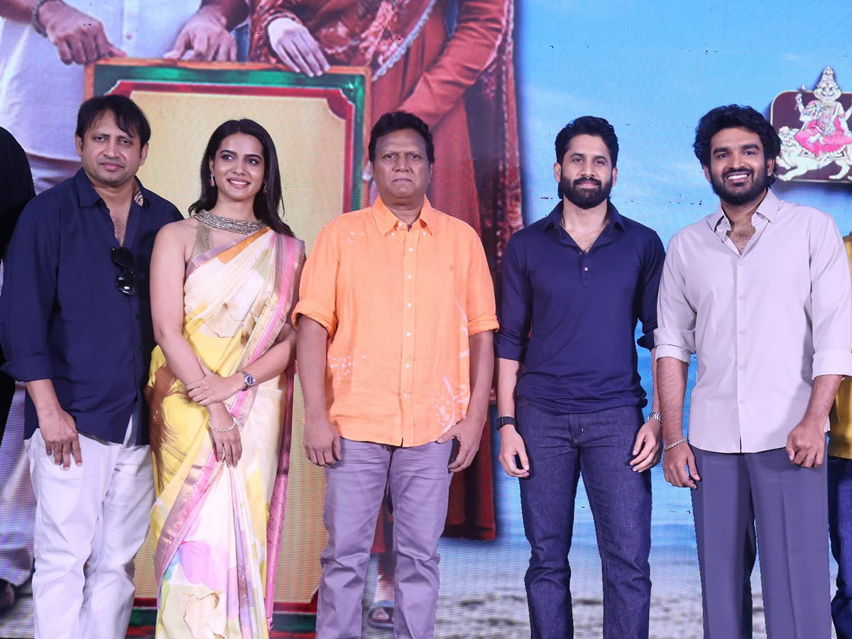 Chennai_20Love_20Story_20Grand_20Success_20Meet_20HD_20Photos__20_2817_29.jpg 17