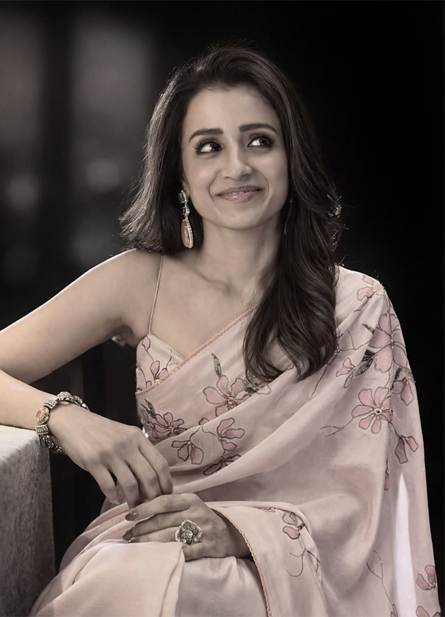 South_20Indian_20Actress_20Trisha_20Krishnan_20Latest_20Photos_20Viral__20_2814_29.jpg 14