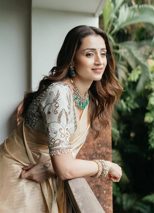 South_20Indian_20Actress_20Trisha_20Krishnan_20Latest_20Photos_20Viral__20_289_29.jpg 9