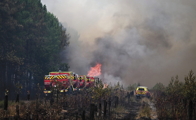 Wildfires.jpg