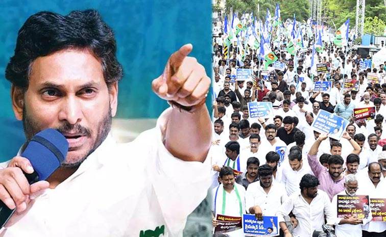 Ysrcp-Representations-To-Co.jpg