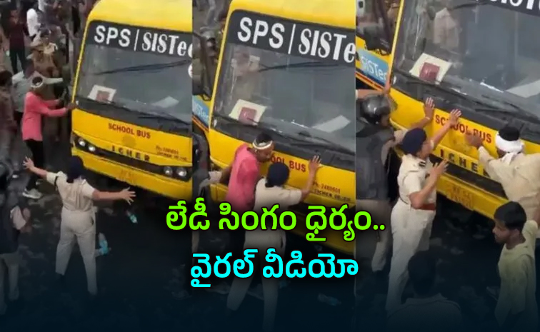 buses.jpg