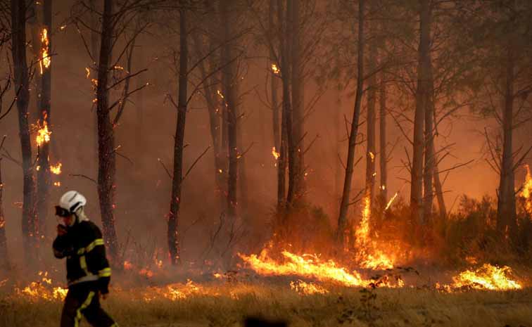 fires.jpg