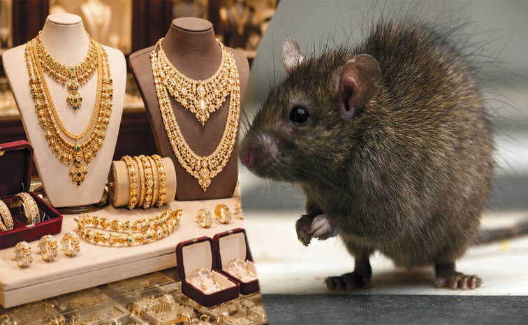 Rat.jpg