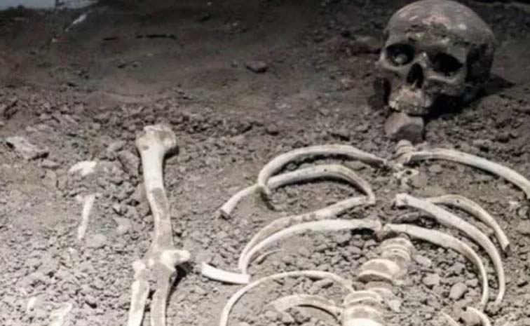 Skeleton.jpg