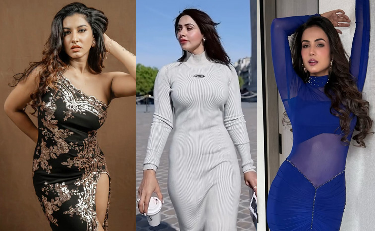 vishnupriya-sonal-chauhan.jpg