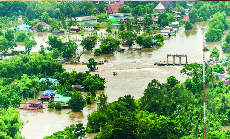 assam_202.jpg