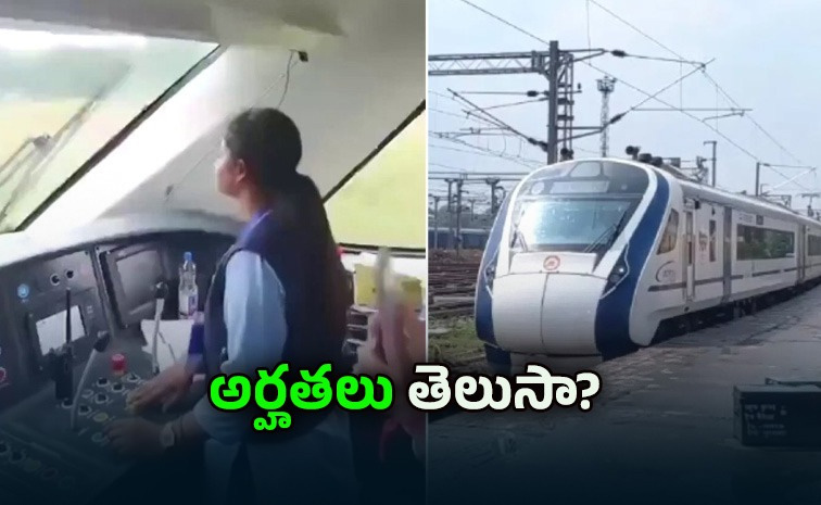 loco-piolet.jpg