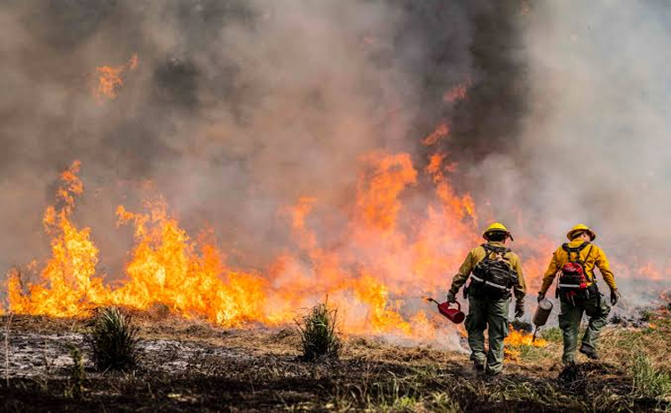 fire-acc.jpg
