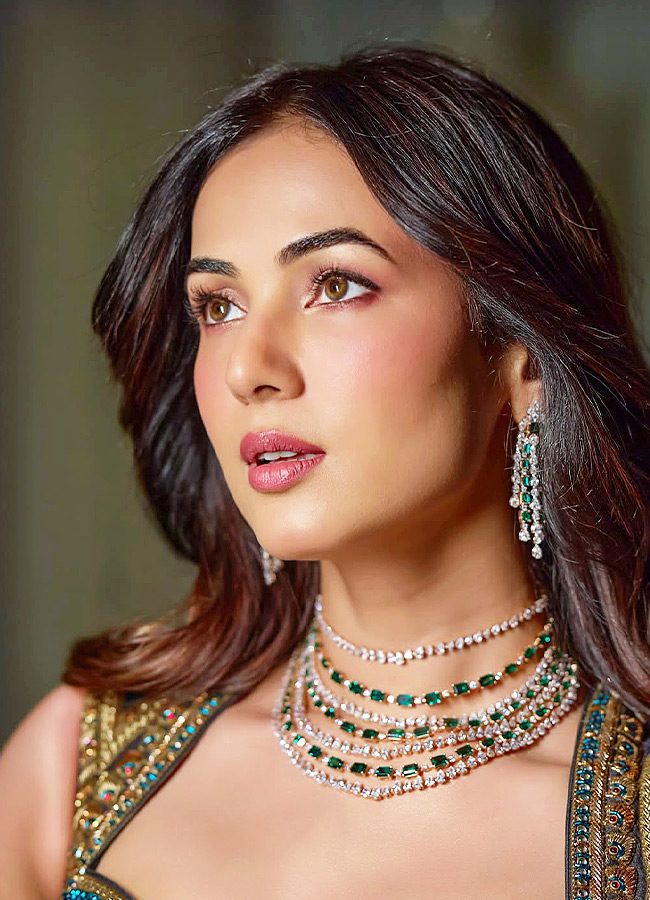 Sonal_20Chauhan_20_2811_29.jpg 11