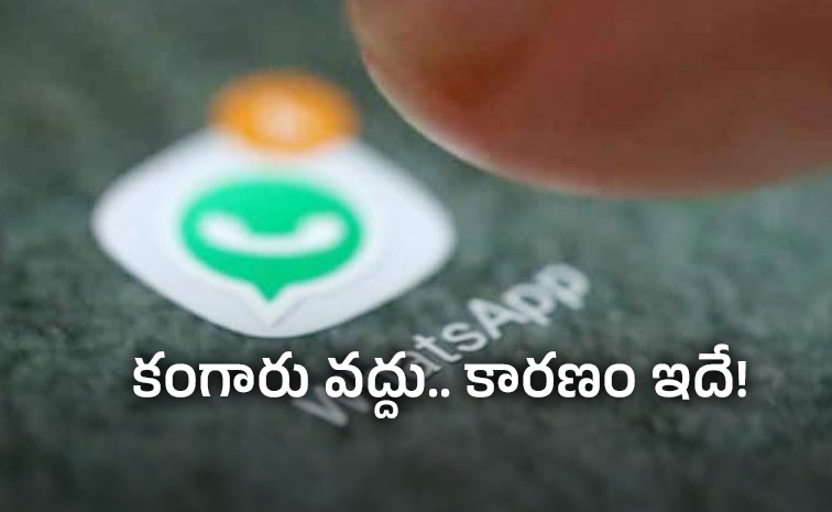 WhatsApp-Working.jpg