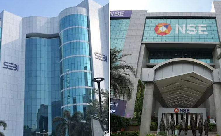 sebi.jpg