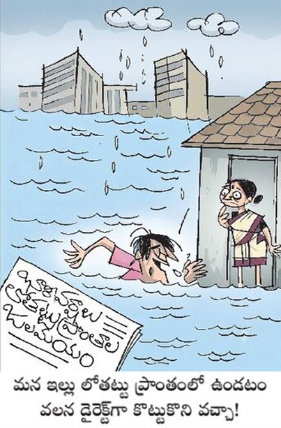 366.jpg