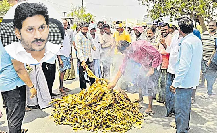 jagan.jpg