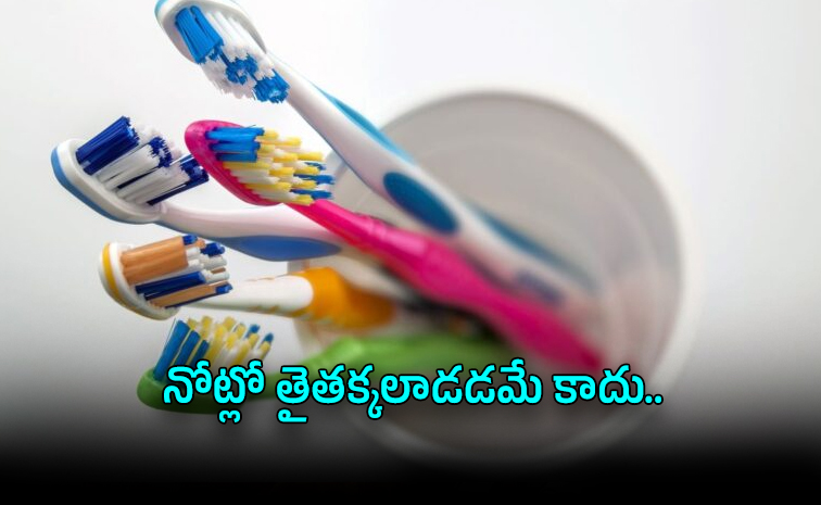 brush01.jpg
