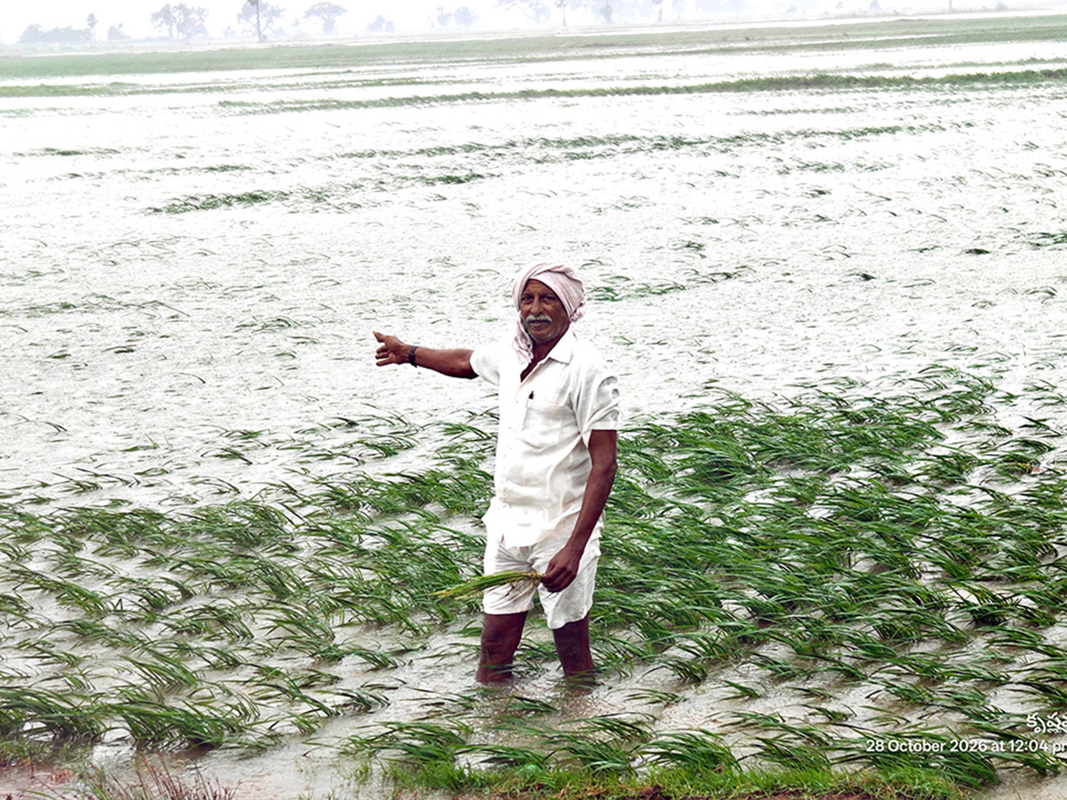 Cyclone-Arnab-in-Andhra-Pradesh-Today-Photos_-(13).jpg 13