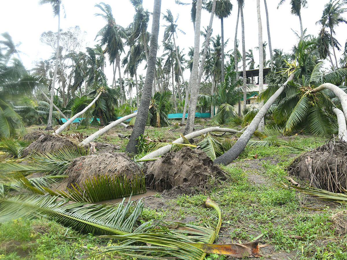 Cyclone-Arnab-in-Andhra-Pradesh-Today-Photos_-(3).jpg 3