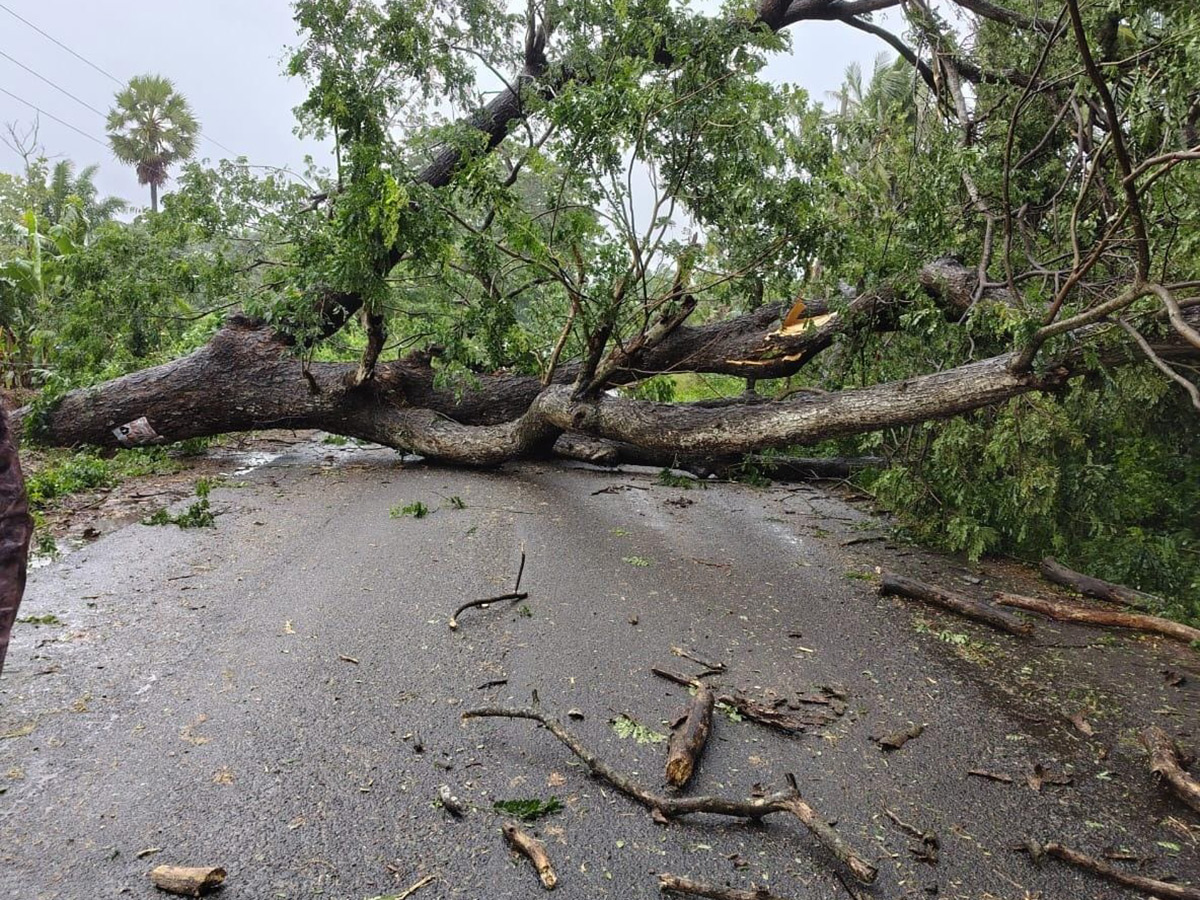 Cyclone-Arnab-in-Andhra-Pradesh-Today-Photos_-(7).jpg 7